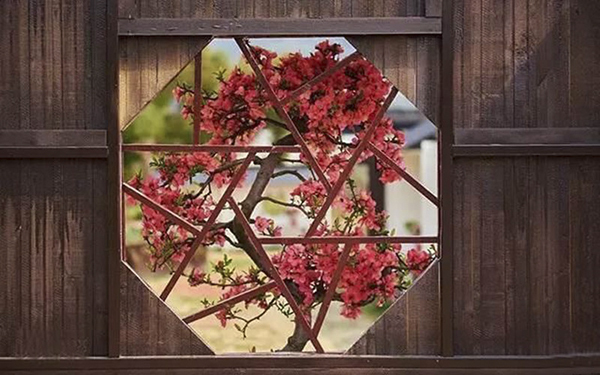 轩庭门窗启用新的官方网站：www.gdytdyf.com